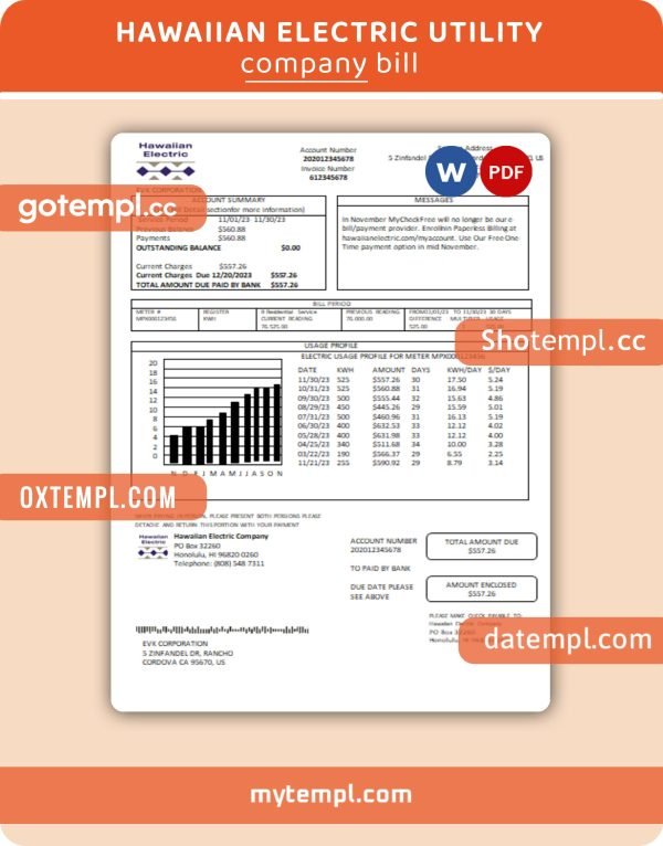 Hawaiian Electric business utility bill, Word and PDF template