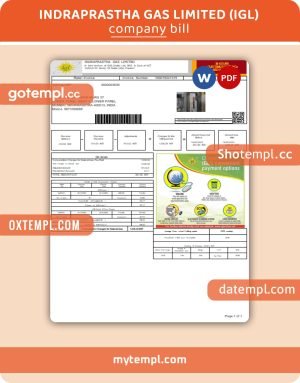 Maine Natural Gas Portland business utility bill, Word and PDF template