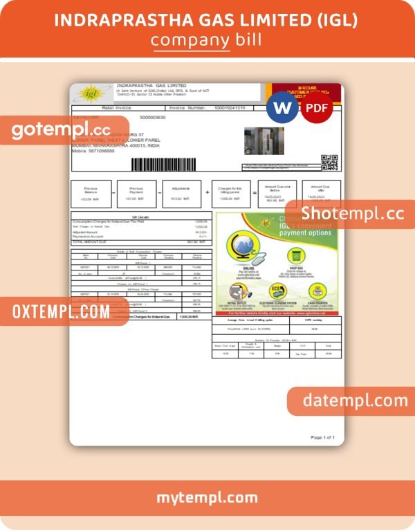 Indraprastha Gas Limited (IGL) business utility bill, Word and PDF template