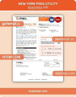 New York PSEG utility business bill, Word and PDF template