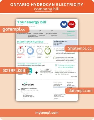 Ontario Hydrocan business utility bill, Word and PDF template