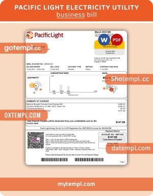 Pacific Light electricity business utility bill, Word and PDF template