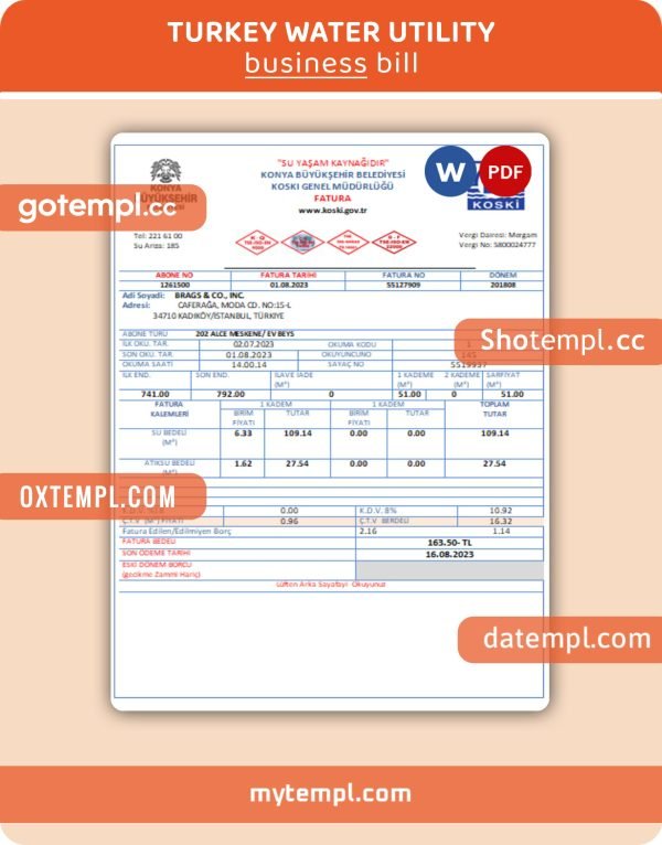 Turkey water electricity business utility bill, Word and PDF template