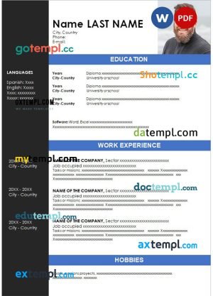 chronological resume Word and PDF download template