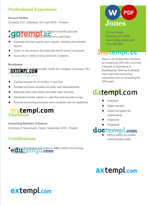 ecommerce project manager modern resume Word and PDF download template