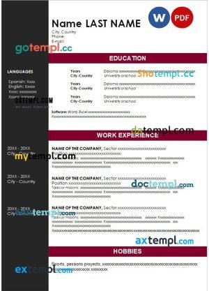 consulting resume Word and PDF download template