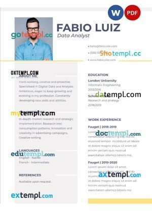 data analyst resume Word and PDF download template