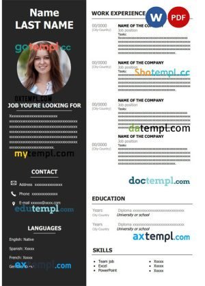 executive resume sample resume Word and PDF download template