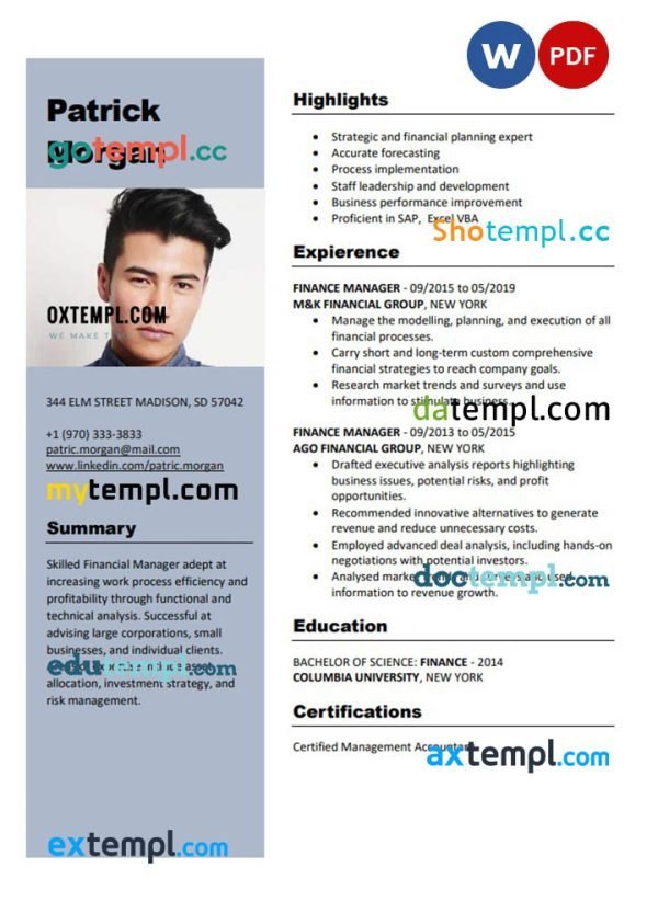 finance manager resume Word and PDF download template