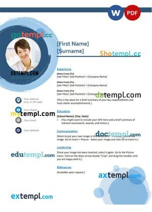 financial analyst resume Word and PDF download template