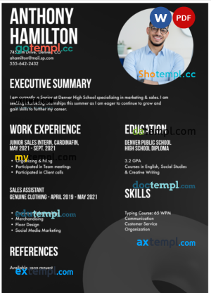 marketing sales manager resume Word and PDF download template