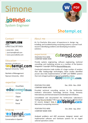 mint system enginner modern resume Word and PDF download template