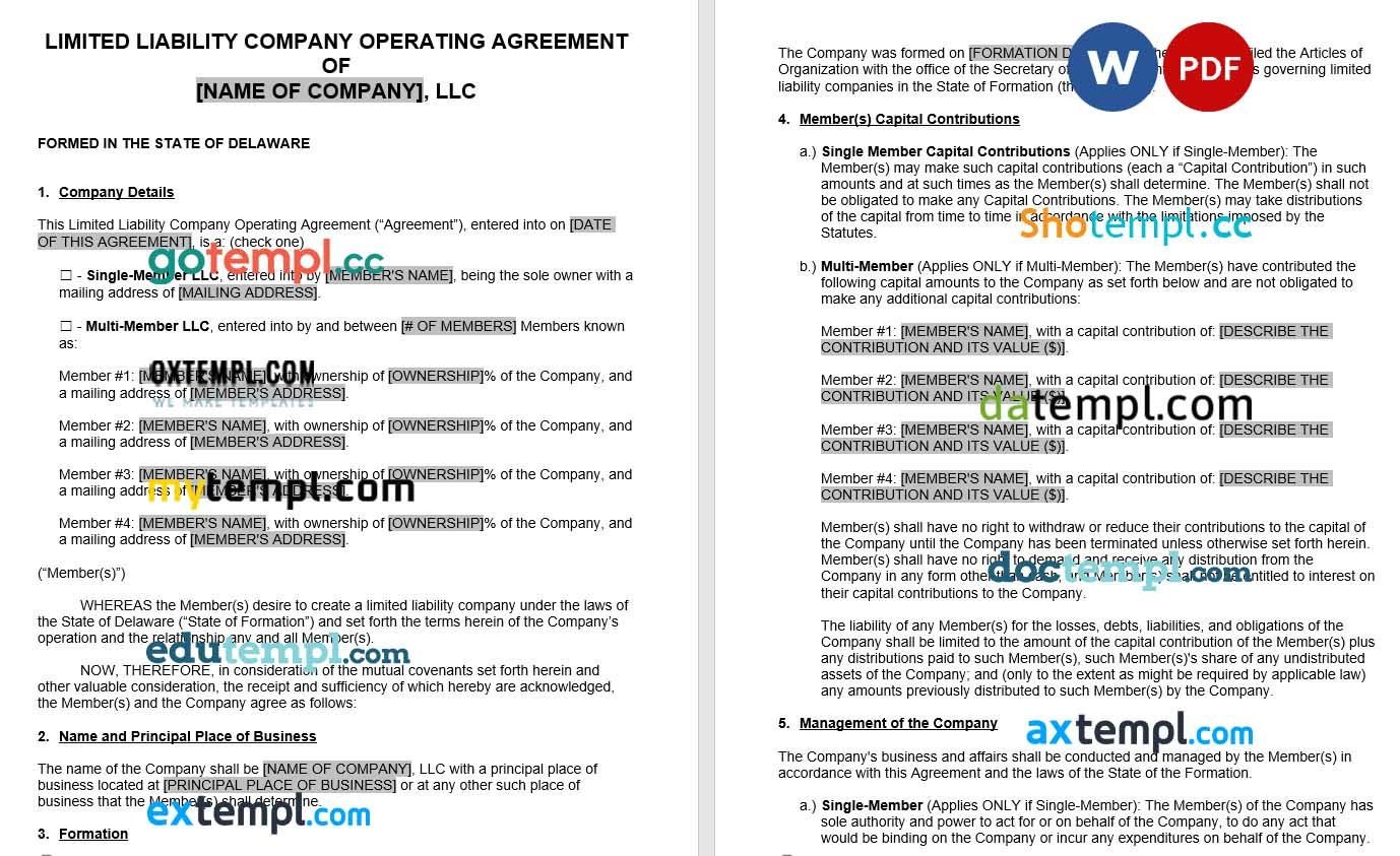 Delaware LLC Operating Agreement Word example, fully editable