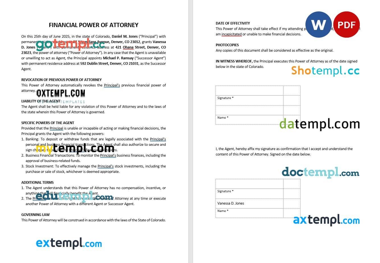 Financial Power of Attorney Form example, fully editable