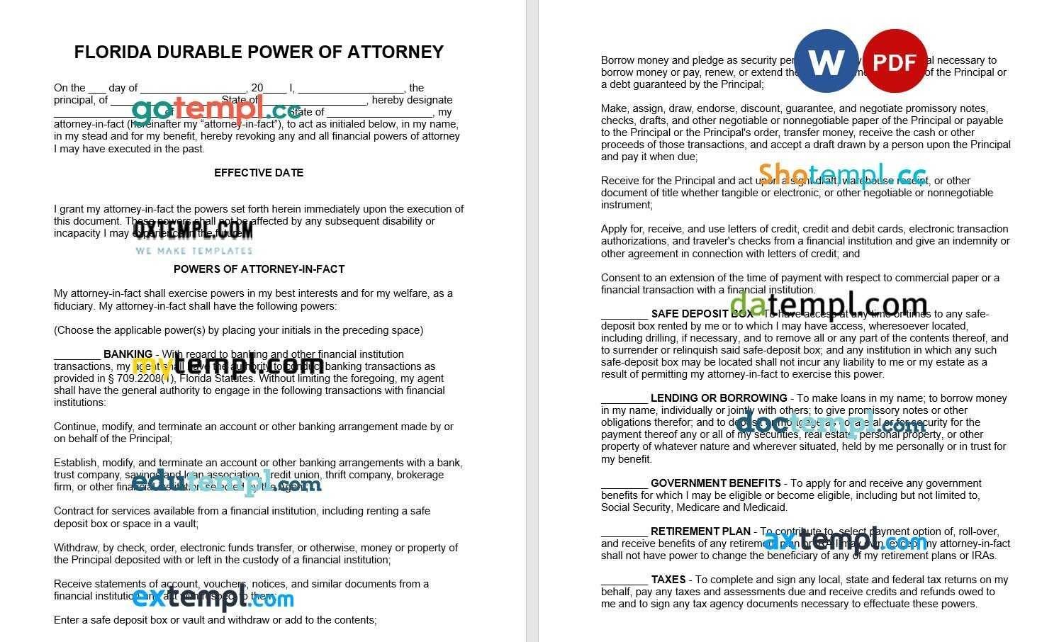 Florida Durable Power of Attorney example, fully editable