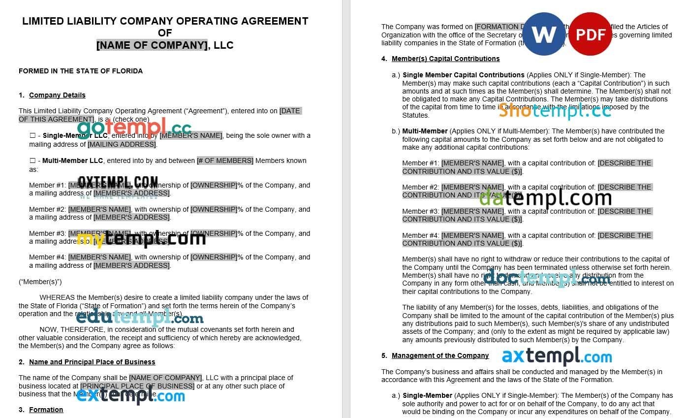 Florida LLC Operating Agreement Word example, fully editable