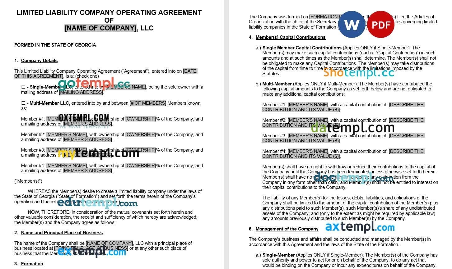 Georgian LLC Operating Agreement Word example, fully editable
