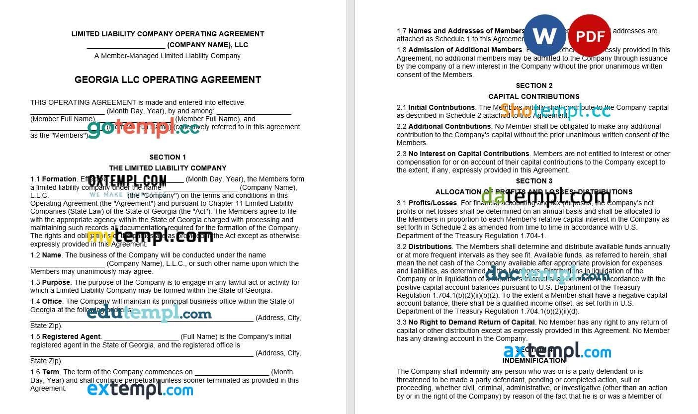 # art shadow universal multipurpose bank statement template in Word format