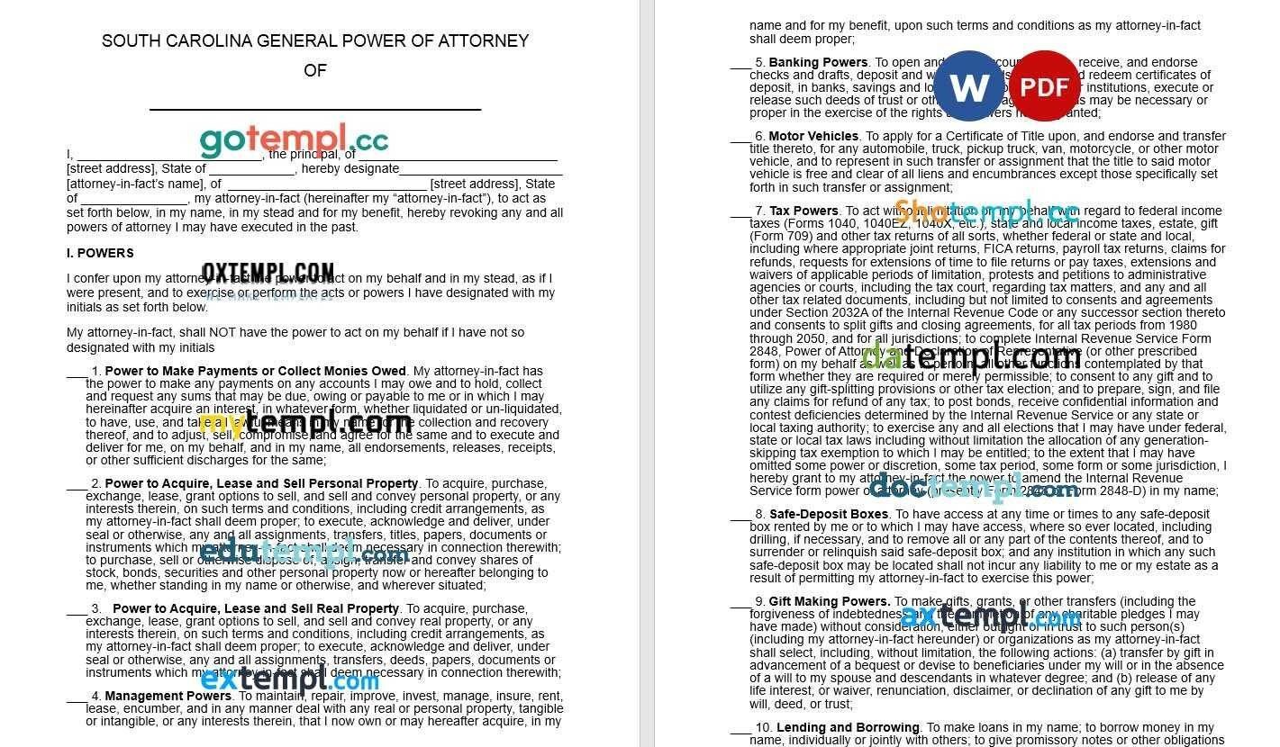South Carolina General Power of Attorney example, fully editable