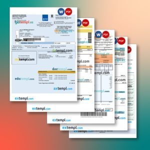 Argentina utility bill 4 templates in one archive – with takeaway price