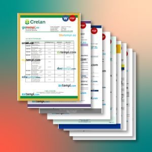 Belgium bank statement 9 templates in one record – with discount price
