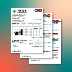 China utility bill 3 templates in one record – with discount price