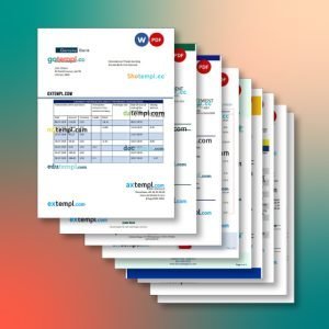 Denmark bank statement 10 templates in one record – with discount price