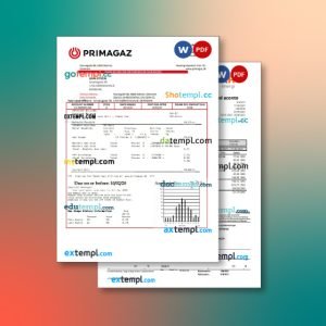 Denmark utility bill 2 templates in one archive – with takeaway price