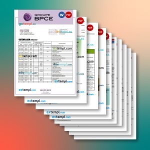 France bank statement 16 templates in one record – with discount price