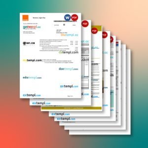 France utility bill 8 templates in one catalogue – with lower price