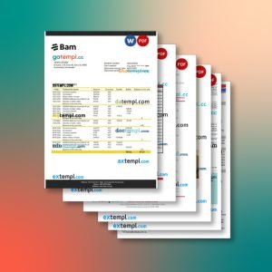 Guatemala bank statement 6 templates in one archive – with takeaway price