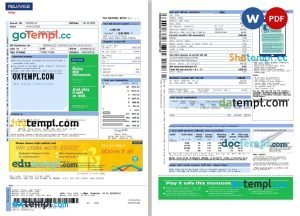 India Reliance Energy utility bill Word and PDF template, 2 pages