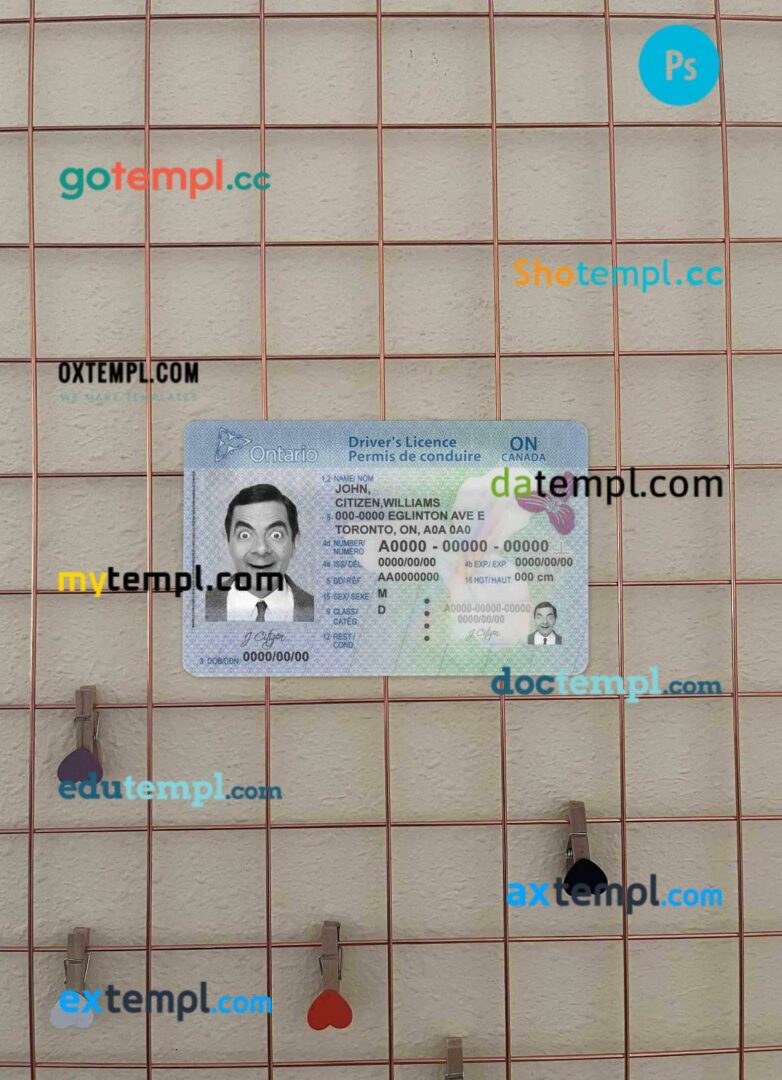 Mexico Nuevo Leon driving license PSD files, scan look and photographed image, 2 in 1