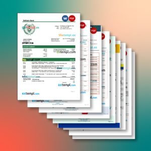 Iraq bank statement 10 templates in one catalogue – with lower price