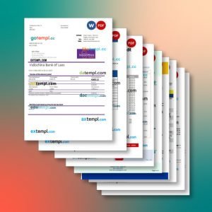Laos bank statement 9 templates in one collection – with price cut