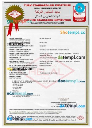 Turkish Standards Institution certificate PSD template, 2 pages