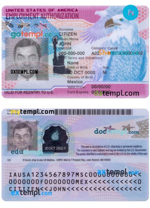 USA employment authorization card PSD template