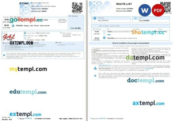 FIRMA GALIZ-SV S.R.L. bus e-ticket, Word and PDF download template, 2 pages