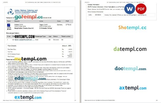 IndiGo airplane e-ticket, Word and PDF download template, 2 pages