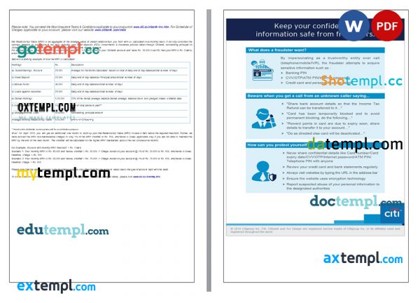 India Citibank bank statement Word and PDF template, 6 pages