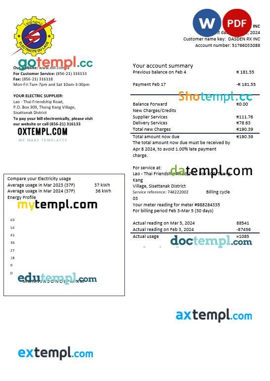 Laos Electricite du Laos electricity business utility bill template in Word and PDF formats