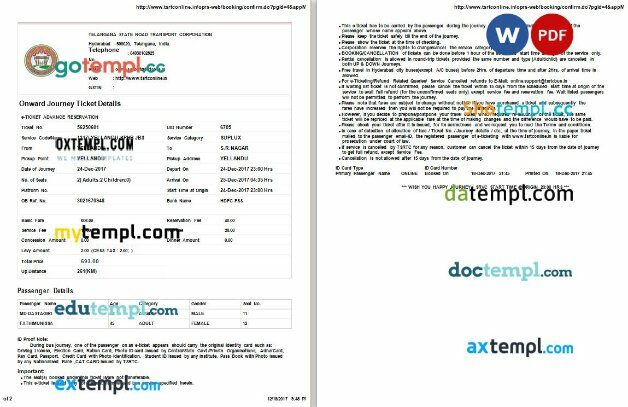 Telangana State Road Transport Corporation bus e-ticket, Word and PDF download template, 2 pages