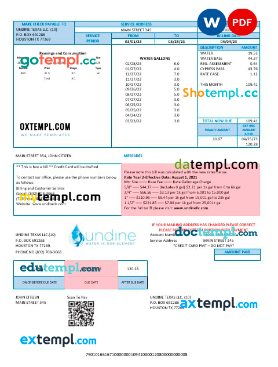 USA Texas Undine water is our element water utility bill Word and PDF formats