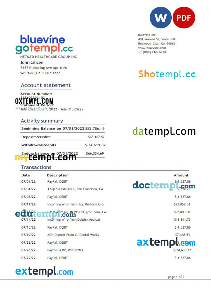 USA Bluevine bank statement 3 – 6 months Word and PDF example, version 2