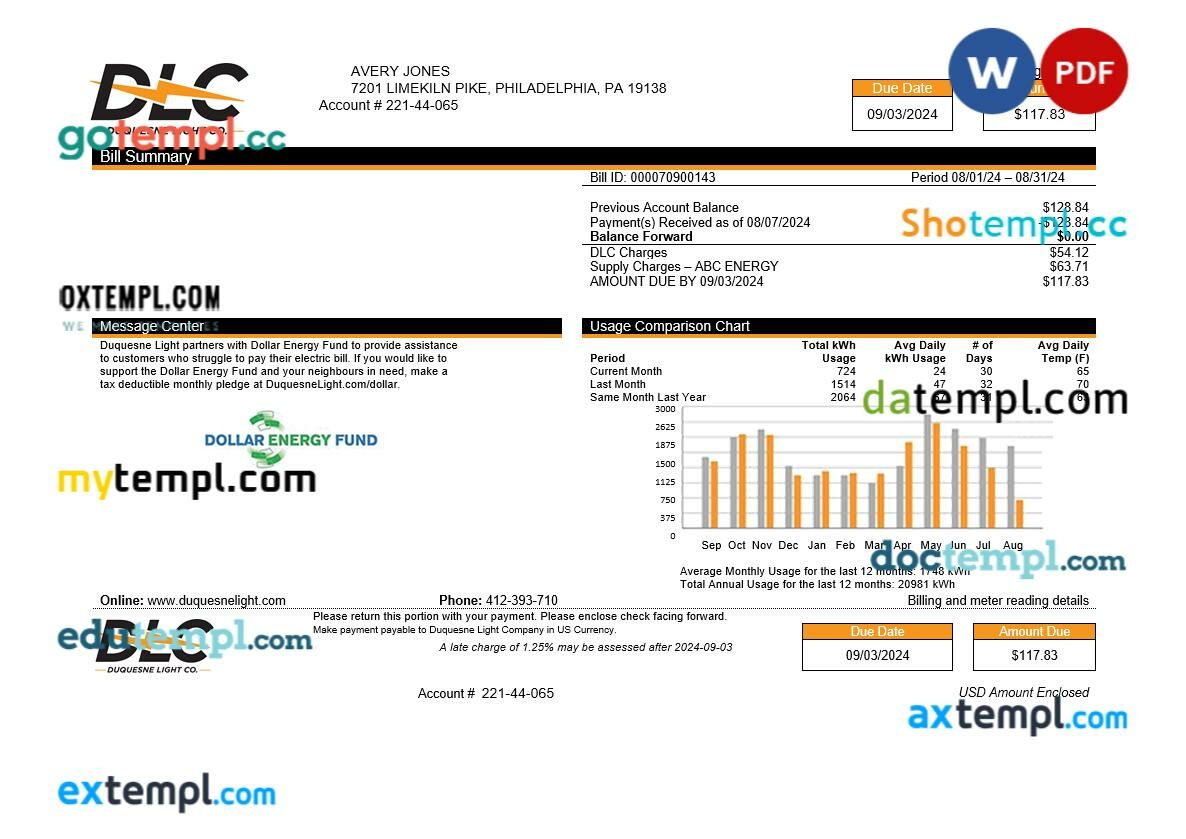 USA DLC utility bill Word and PDF template, version 2