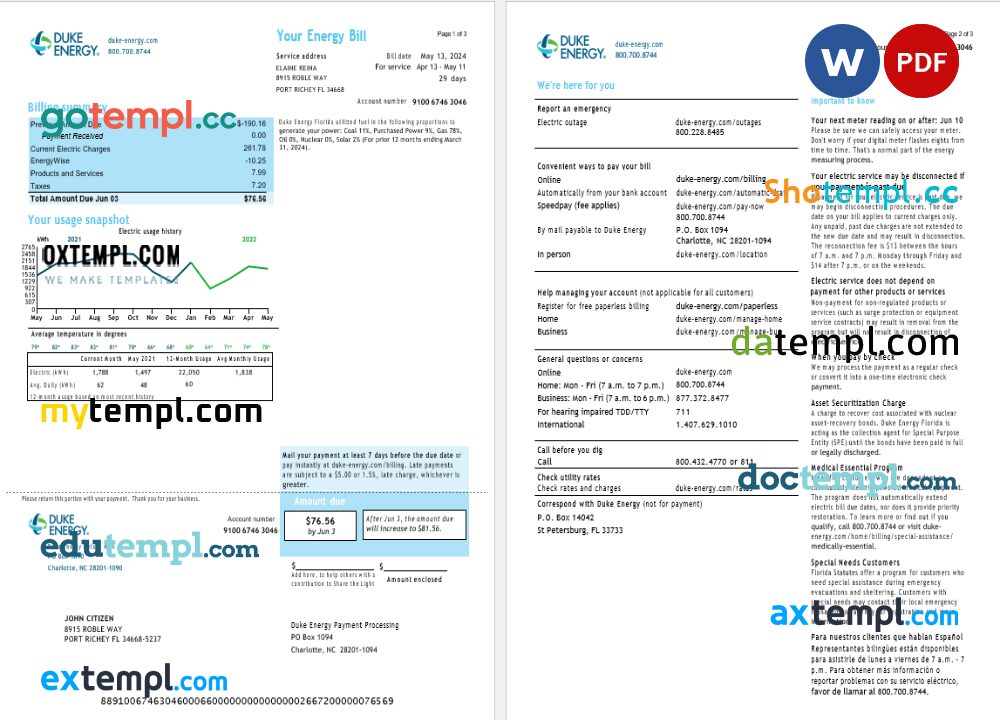 USA Duke Energy utility bill download Word and PDF example, version 2, 3 pages