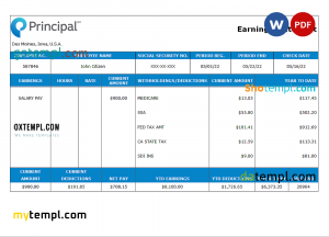 USA financial company earning statement example in Word and PDF format