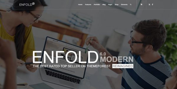 Wordpress Enfold licensed theme + installation as a bonus