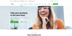 WordPress Hub licensed theme + installation as a bonus