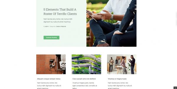 Wordpress Avada licensed theme + installation as a bonus - Image 4